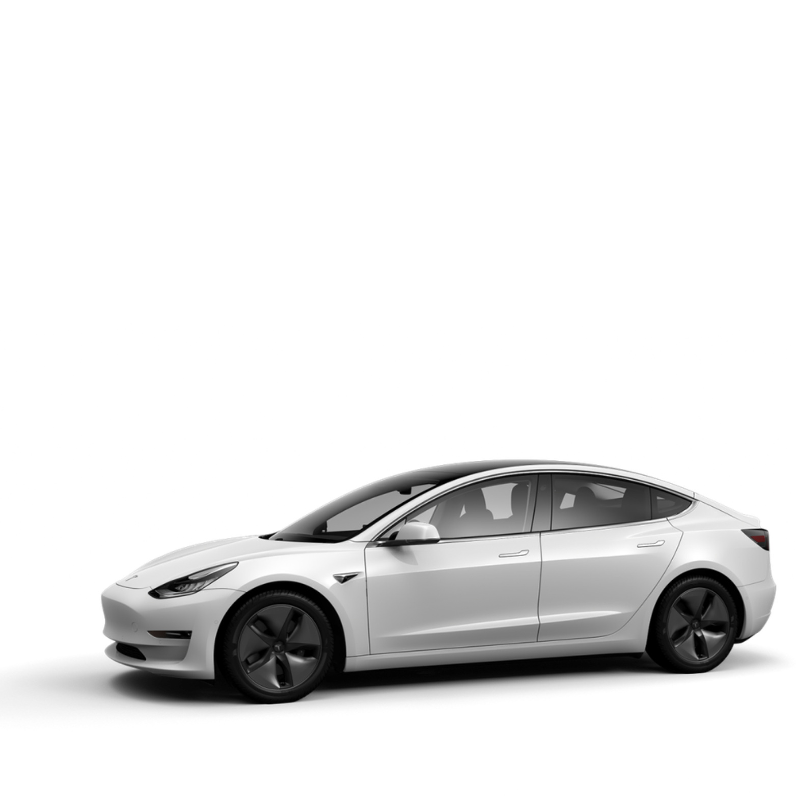 Ryd Sharing Rental Tesla Model 3